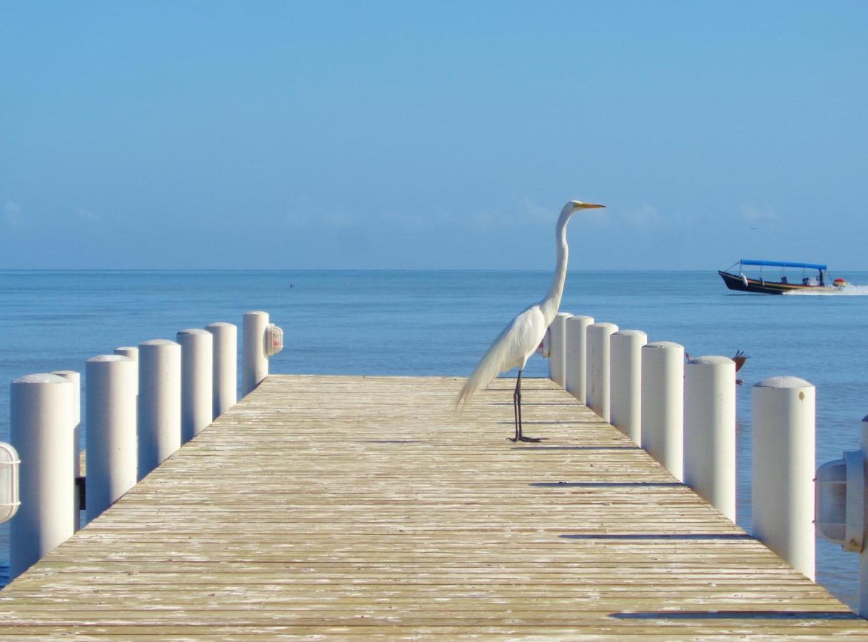 Livingston Resort Hotel Dış mekan fotoğraf